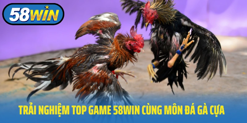 Trải nghiệm top game 58Win cùng môn đá gà cựa dao, sắt