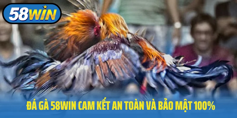 Đá gà 58Win cam kết an toàn và bảo mật 100%