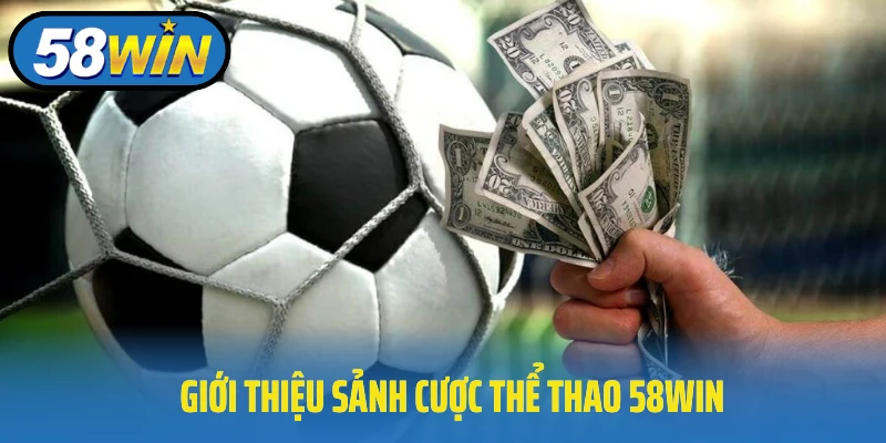Giới thiệu sảnh cược thể thao 58Win đình đám hàng đầu