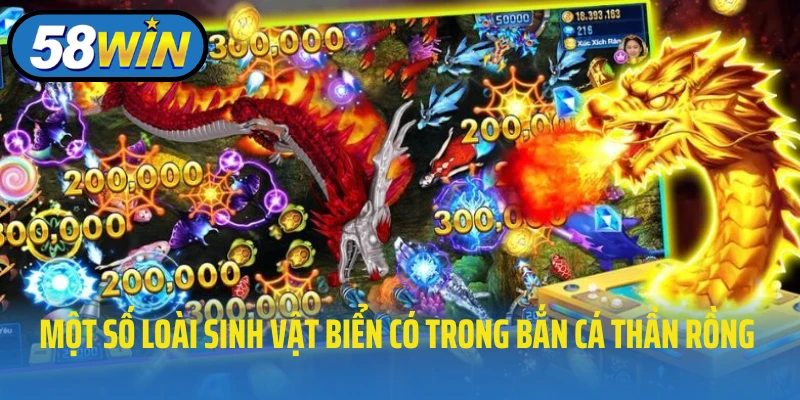 Một số loài sinh vật biển có trong bắn cá thần rồng