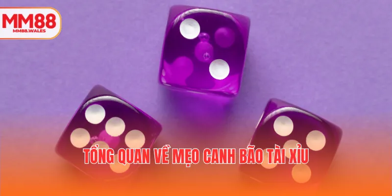 Tổng quan về mẹo canh bão Tài xỉu